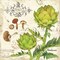 Cucina Italiana I Poster Print by Julie Paton - Item # VARPDXPAT132